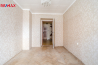 REMAX Delux