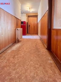 REMAX Delux