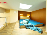 REMAX Delux