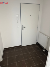 REMAX Delux
