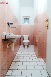 REMAX Delux
