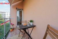 REMAX Delux
