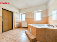 REMAX Delux