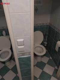 2918303.jpg