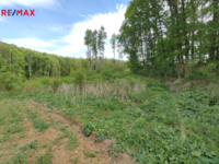 REMAX Brno