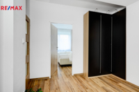 REMAX Delux