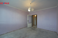 REMAX Delux