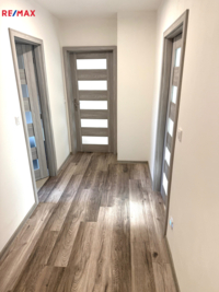REMAX Delux
