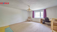 REMAX Delux