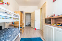 REMAX Delux