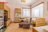 REMAX Delux