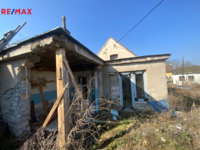 REMAX Delux
