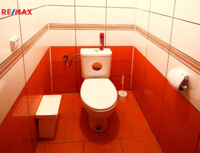 REMAX Delux