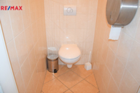 REMAX Delux