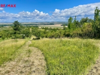Prodej zemědělského pozemku, 3570 m2, Blučina