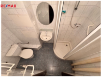 REMAX Delux