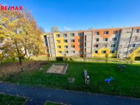 REMAX Delux
