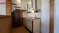 REMAX Delux