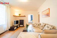 REMAX Delux