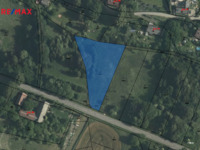 2785087.jpg