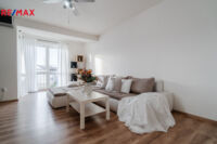 REMAX Delux