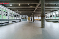 REMAX Delux