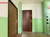REMAX Delux
