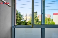 REMAX Delux
