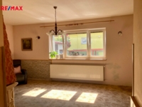 REMAX Delux