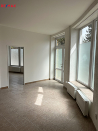 REMAX Delux