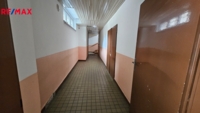 2894458.jpg