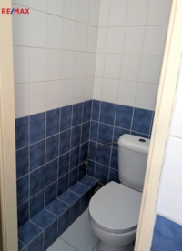 2903152.jpg