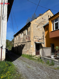 REMAX Delux