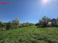 REMAX Delux