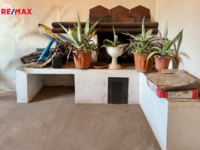REMAX Delux