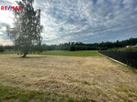 REMAX Delux