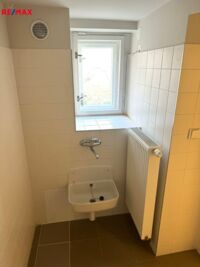 REMAX Delux