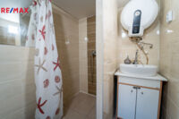 REMAX Delux