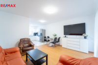 REMAX Delux