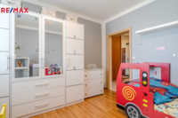 REMAX Delux