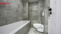REMAX Delux