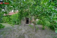 2879676.jpg
