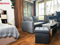 REMAX Delux