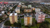 2725174.jpg