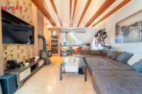 REMAX Delux