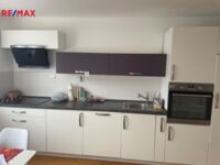 REMAX Delux