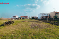 REMAX Delux