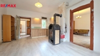 REMAX Delux