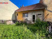 REMAX Delux