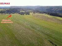 REMAX Delux